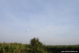 Volgers hebben onze ballon in zicht.. hoe doen ze dat toch?